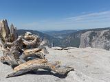 Yosemite 031